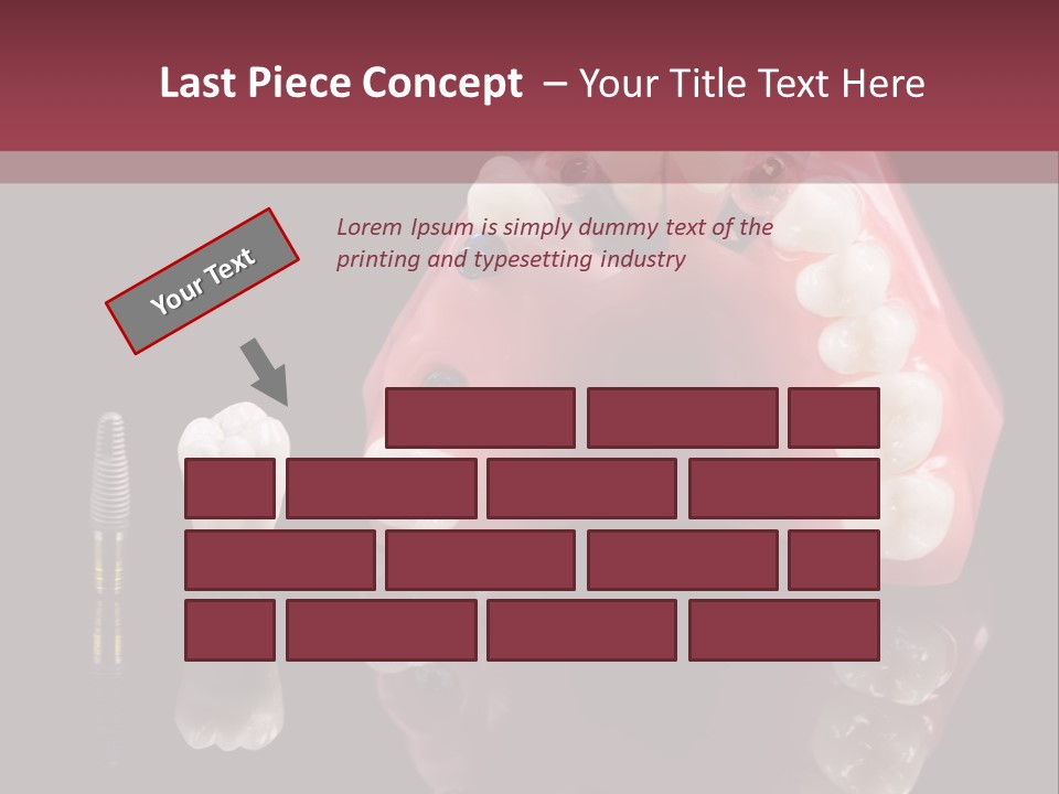 Care Anatomy Orthodonture PowerPoint Template