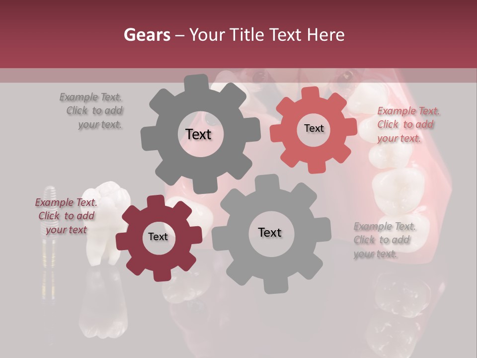 Care Anatomy Orthodonture PowerPoint Template
