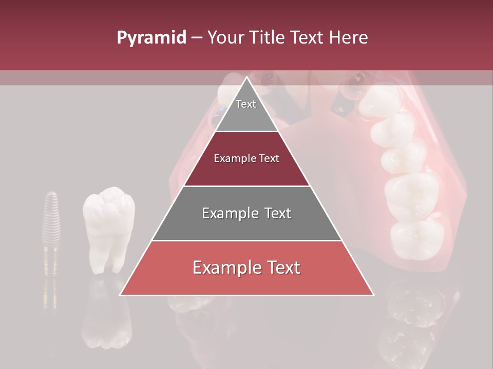 Care Anatomy Orthodonture PowerPoint Template