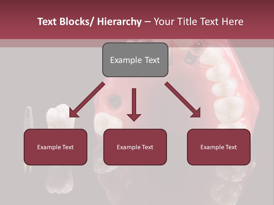 Care Anatomy Orthodonture PowerPoint Template