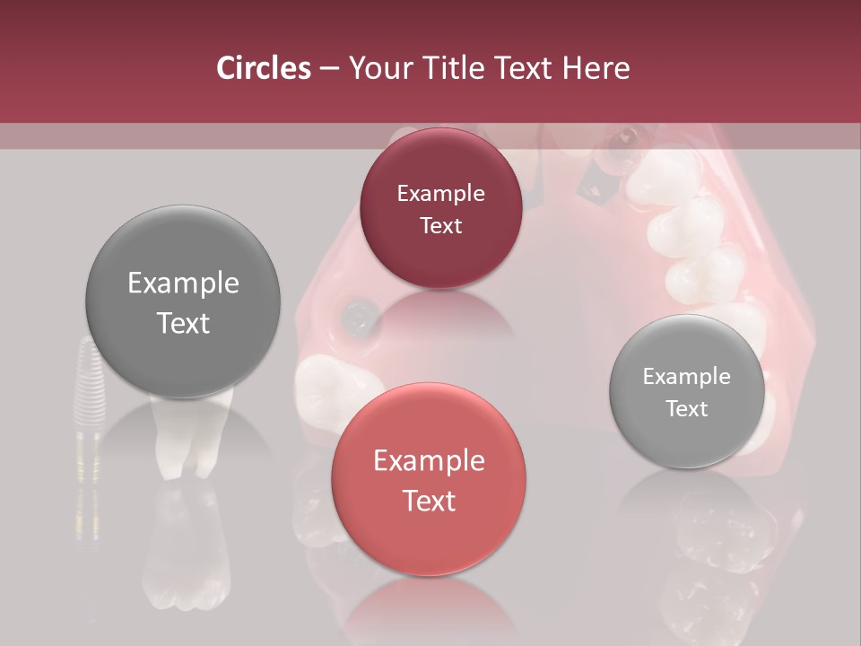 Care Anatomy Orthodonture PowerPoint Template