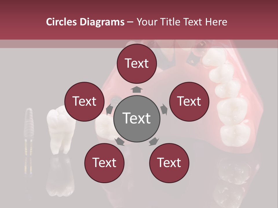 Care Anatomy Orthodonture PowerPoint Template