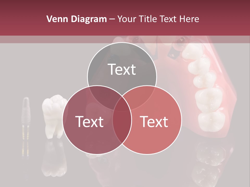 Care Anatomy Orthodonture PowerPoint Template