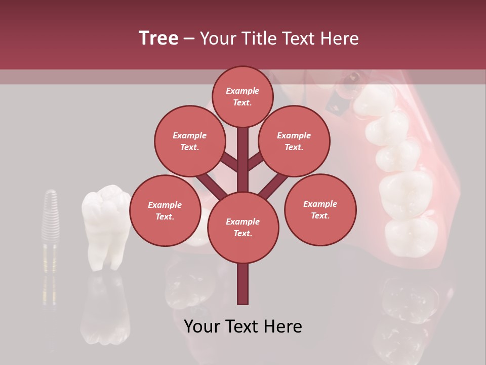 Care Anatomy Orthodonture PowerPoint Template