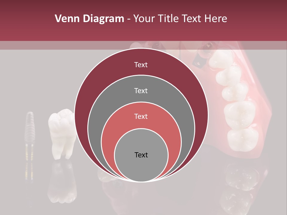 Care Anatomy Orthodonture PowerPoint Template