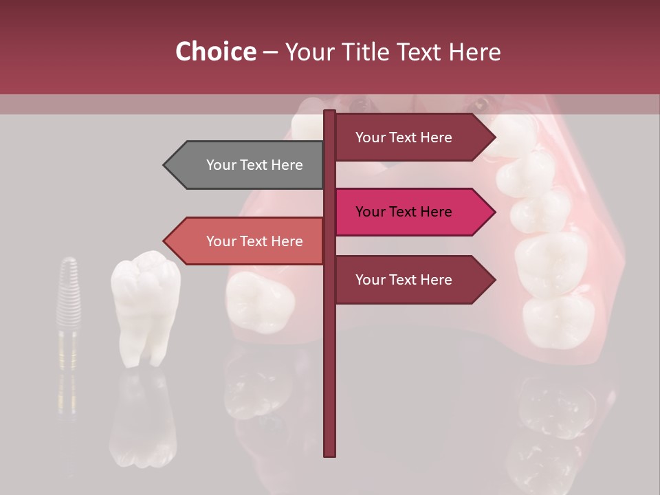 Care Anatomy Orthodonture PowerPoint Template