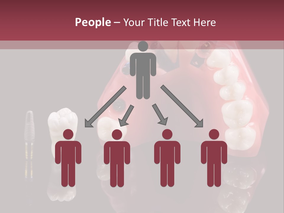 Care Anatomy Orthodonture PowerPoint Template