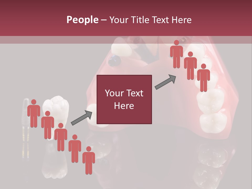 Care Anatomy Orthodonture PowerPoint Template