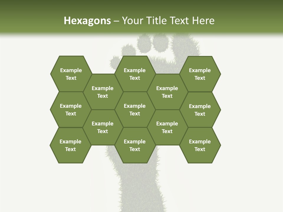 Nature Texture Sole PowerPoint Template