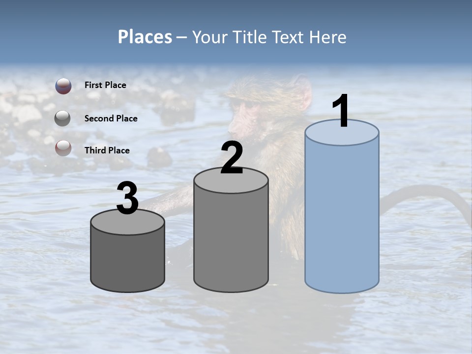 A Monkey Sitting In A Body Of Water PowerPoint Template