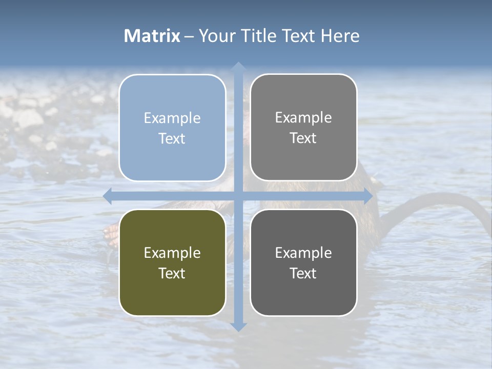 A Monkey Sitting In A Body Of Water PowerPoint Template