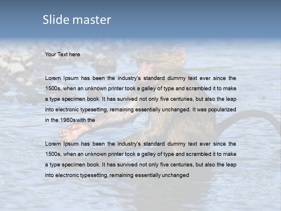 A Monkey Sitting In A Body Of Water PowerPoint Template