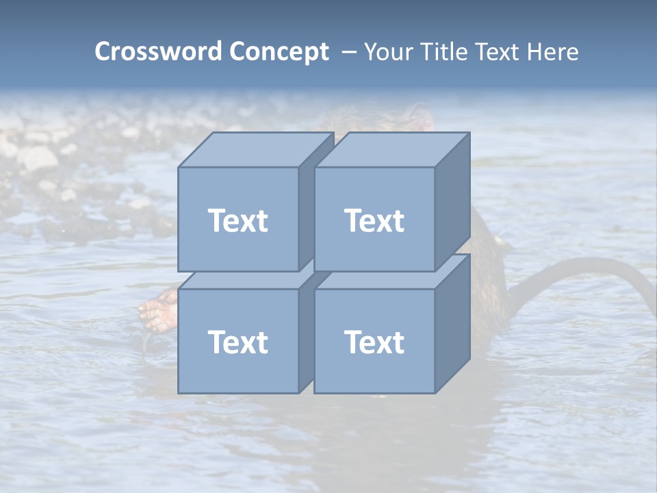 A Monkey Sitting In A Body Of Water PowerPoint Template