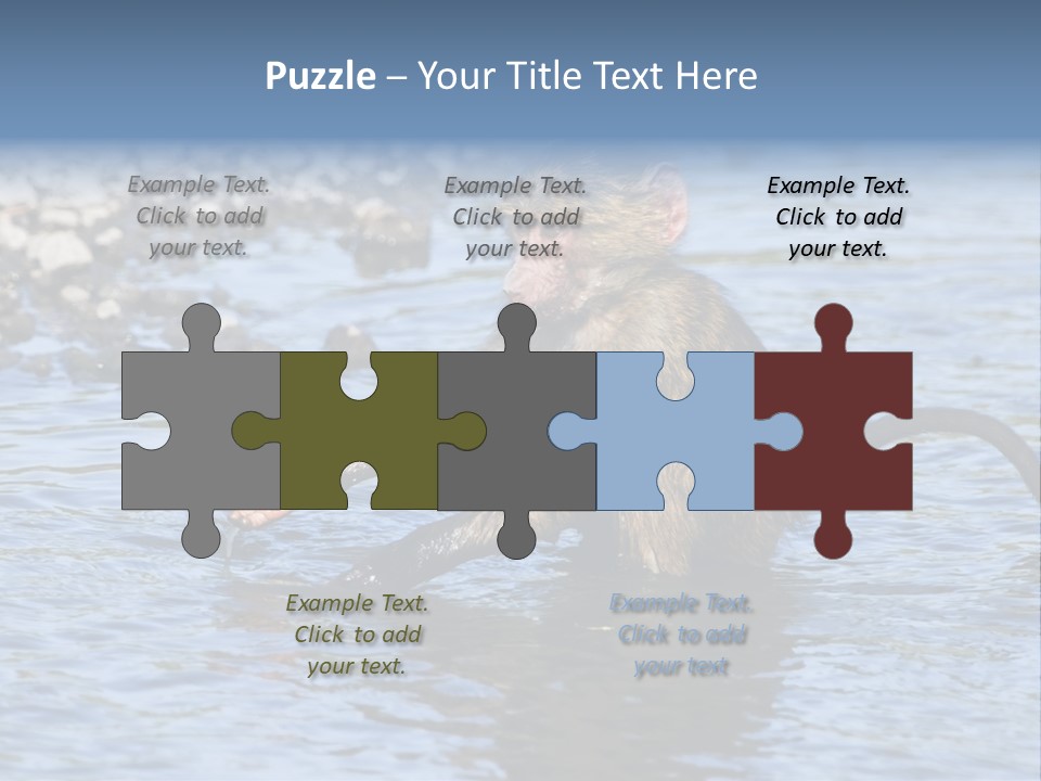 A Monkey Sitting In A Body Of Water PowerPoint Template