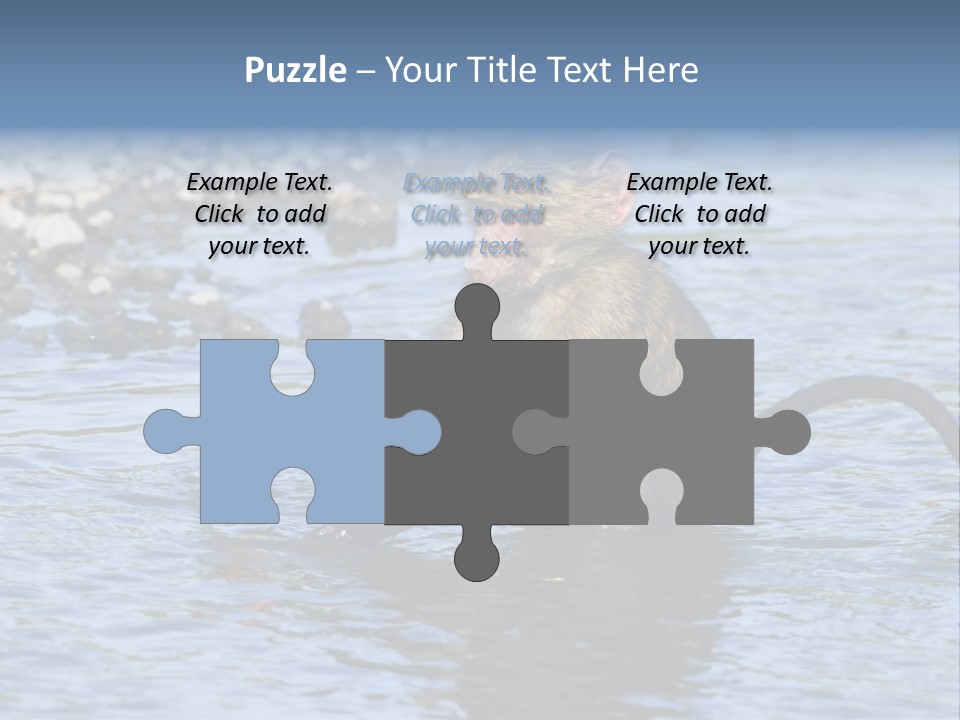 A Monkey Sitting In A Body Of Water PowerPoint Template