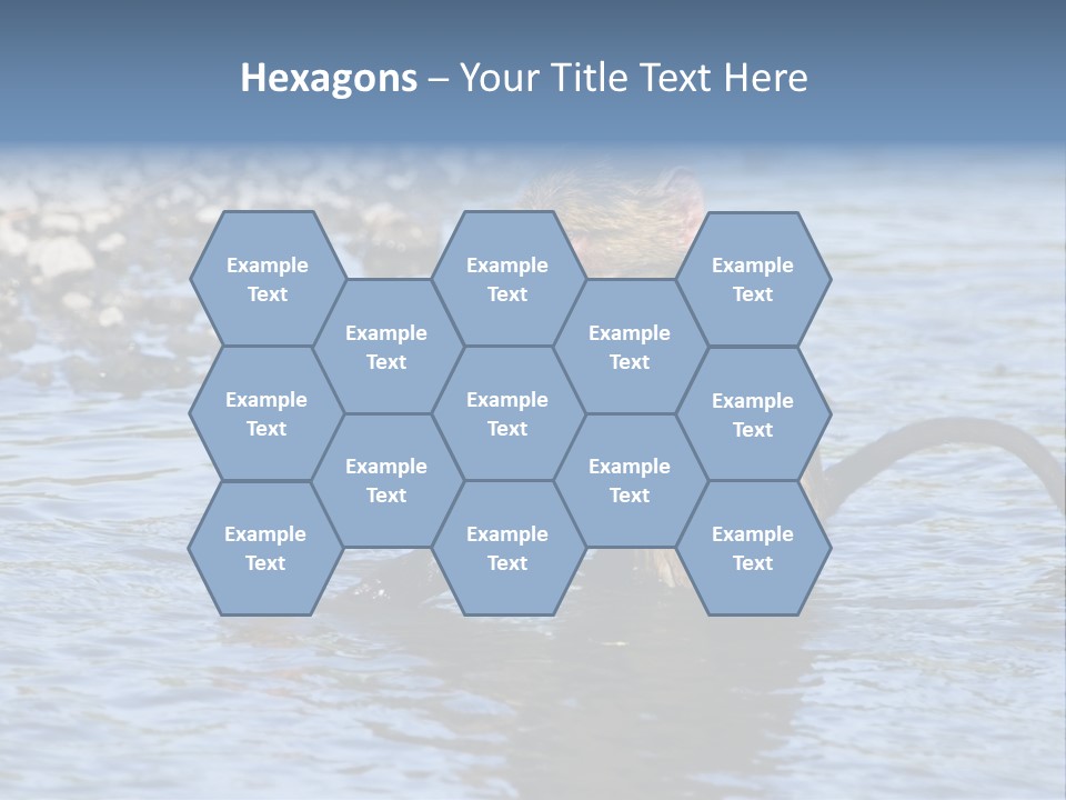 A Monkey Sitting In A Body Of Water PowerPoint Template