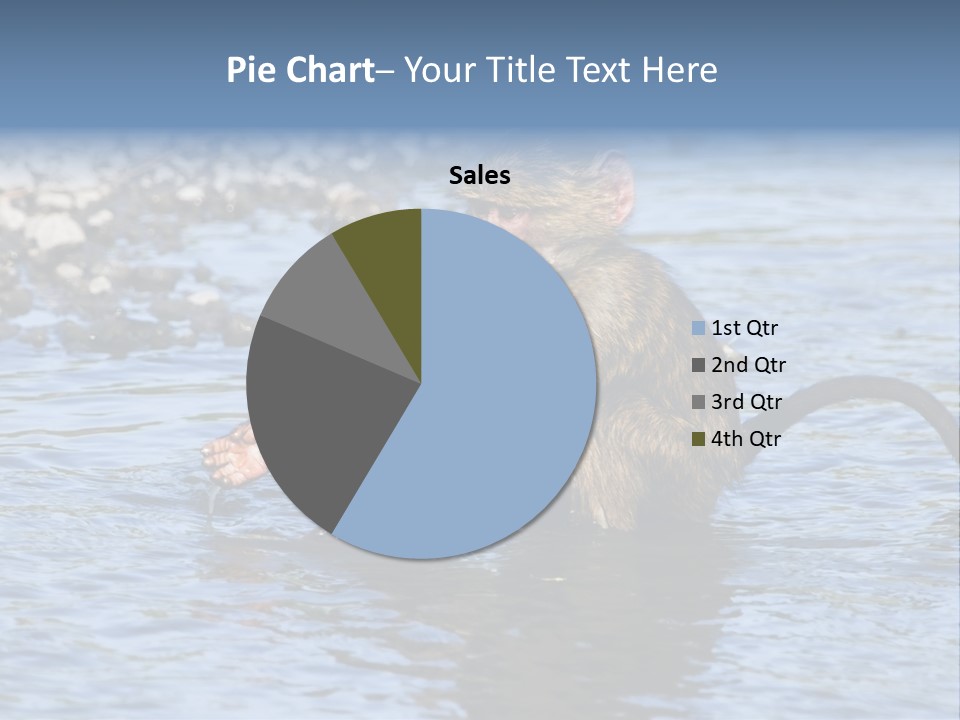 A Monkey Sitting In A Body Of Water PowerPoint Template