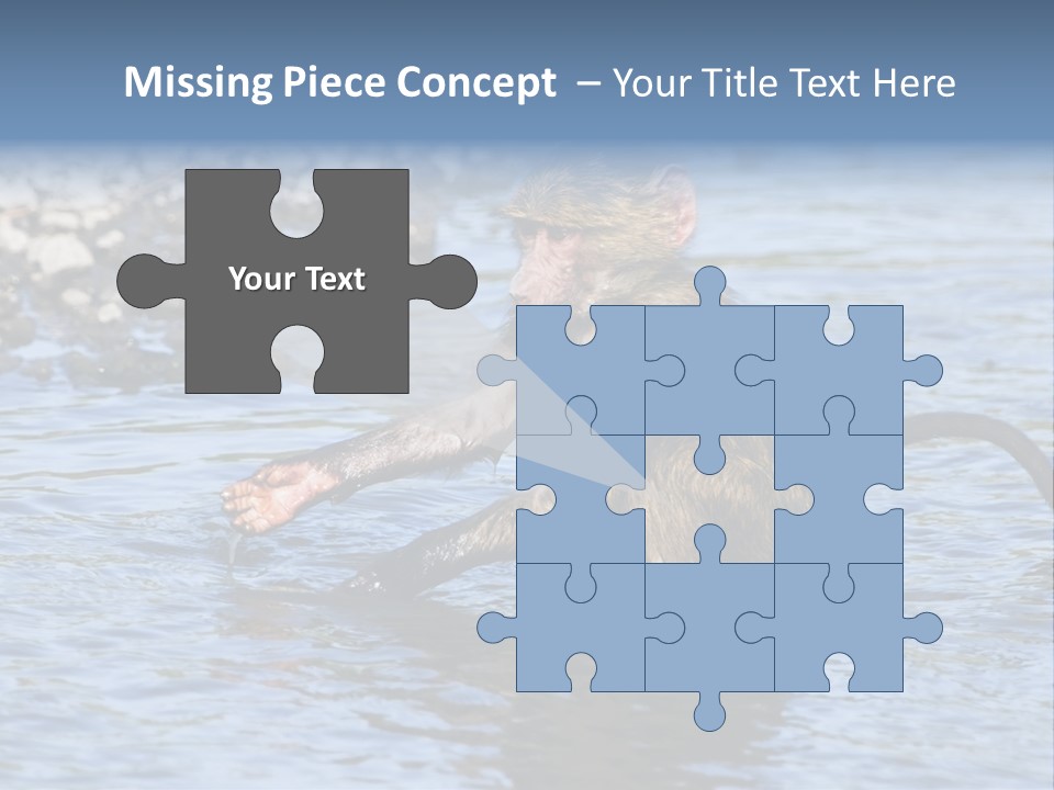 A Monkey Sitting In A Body Of Water PowerPoint Template
