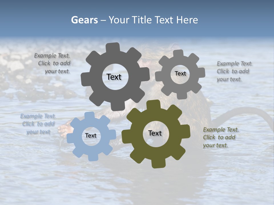 A Monkey Sitting In A Body Of Water PowerPoint Template