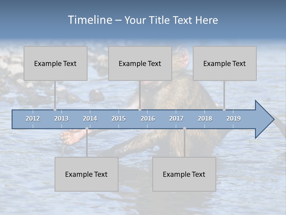 A Monkey Sitting In A Body Of Water PowerPoint Template