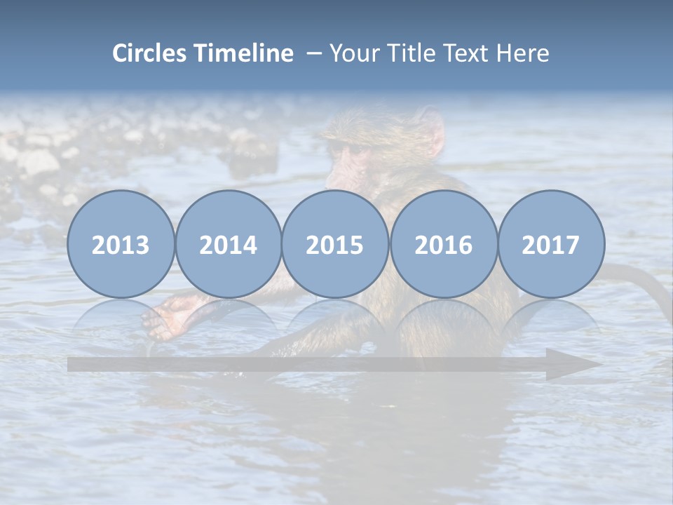 A Monkey Sitting In A Body Of Water PowerPoint Template