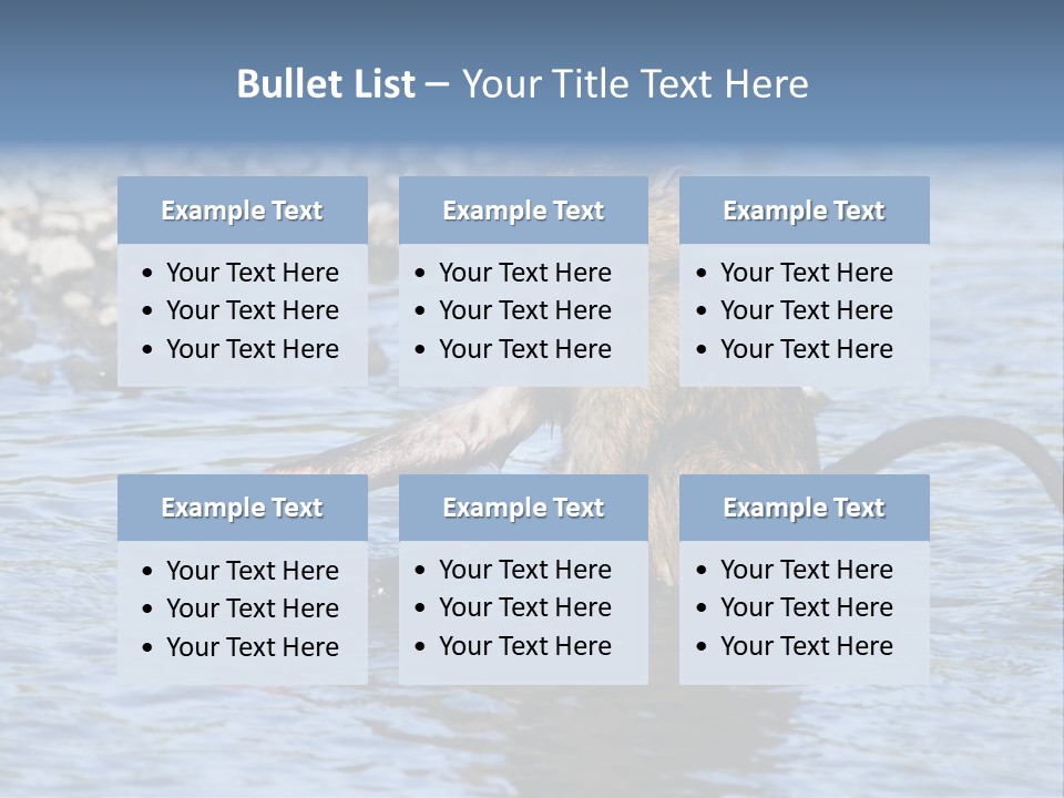 A Monkey Sitting In A Body Of Water PowerPoint Template