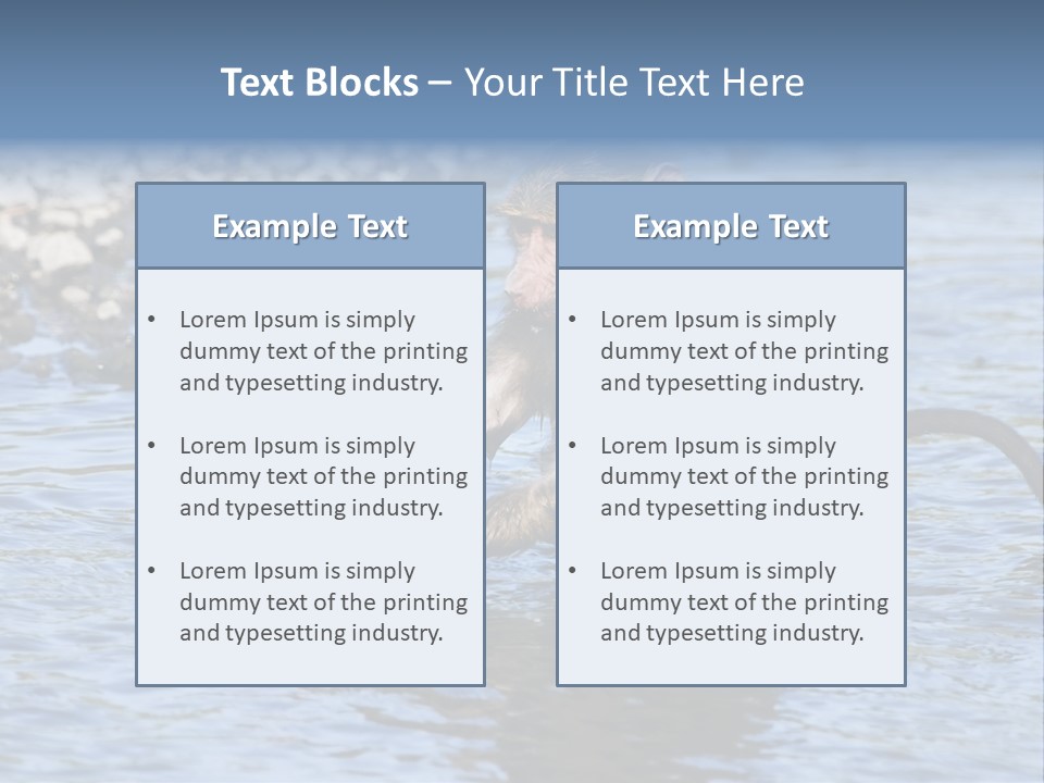 A Monkey Sitting In A Body Of Water PowerPoint Template