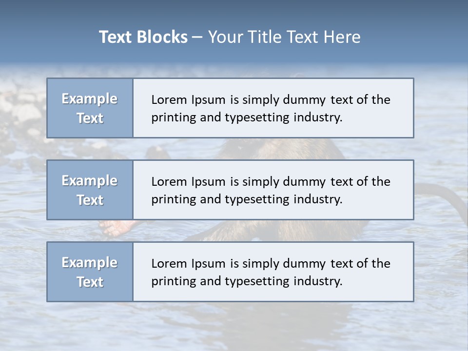 A Monkey Sitting In A Body Of Water PowerPoint Template