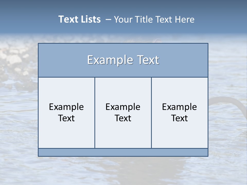 A Monkey Sitting In A Body Of Water PowerPoint Template