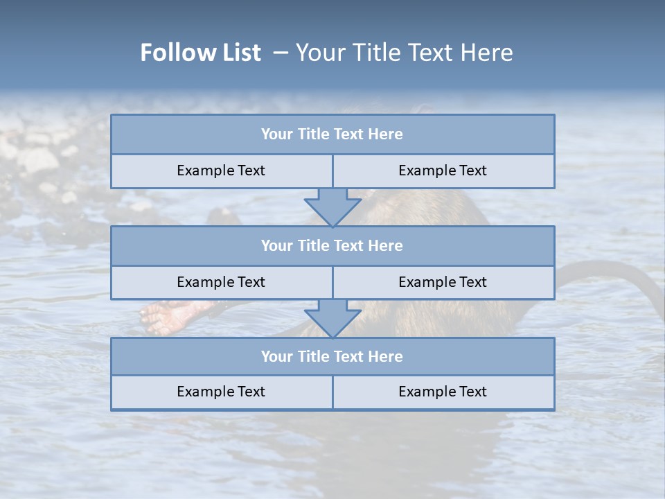 A Monkey Sitting In A Body Of Water PowerPoint Template