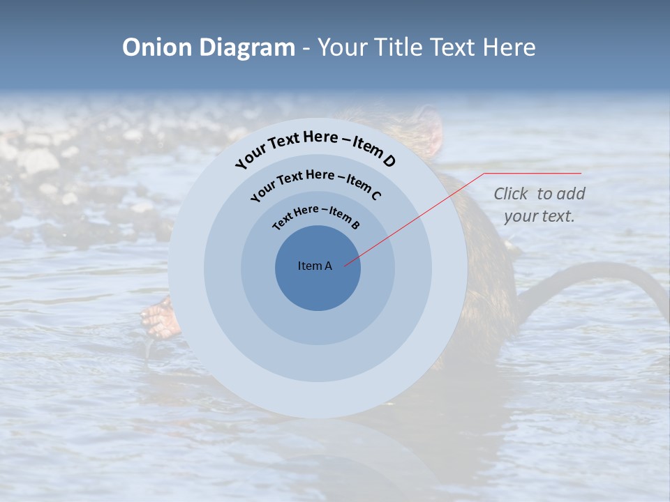 A Monkey Sitting In A Body Of Water PowerPoint Template