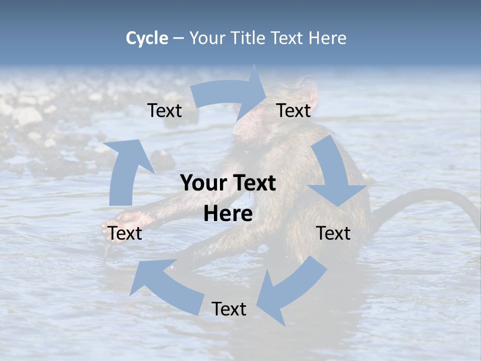 A Monkey Sitting In A Body Of Water PowerPoint Template