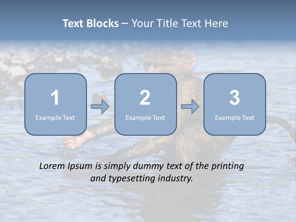 A Monkey Sitting In A Body Of Water PowerPoint Template