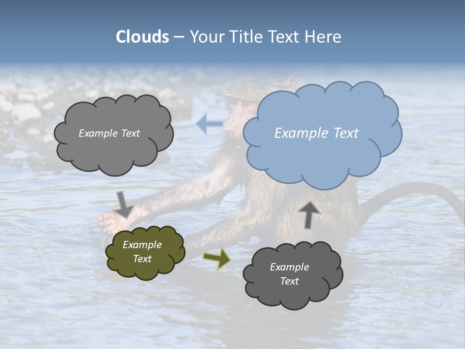 A Monkey Sitting In A Body Of Water PowerPoint Template