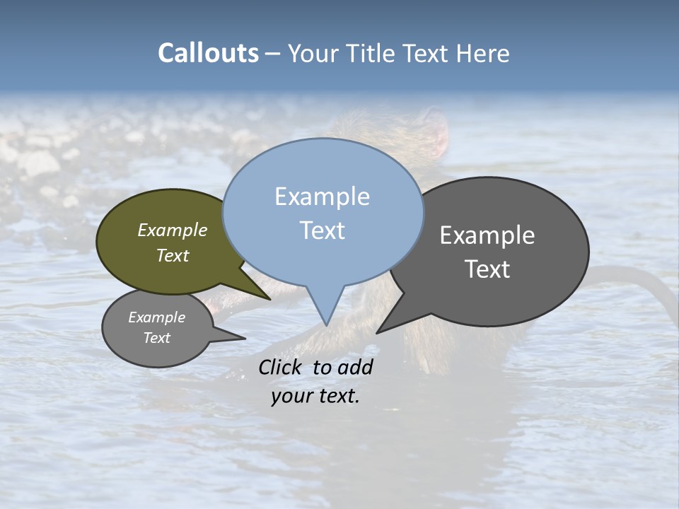 A Monkey Sitting In A Body Of Water PowerPoint Template