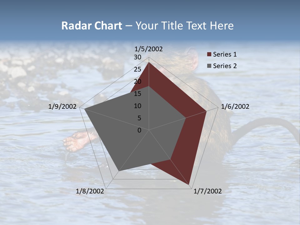A Monkey Sitting In A Body Of Water PowerPoint Template
