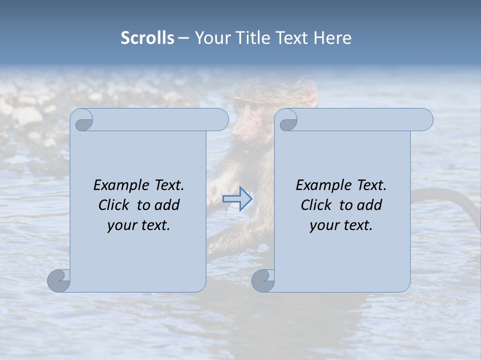 A Monkey Sitting In A Body Of Water PowerPoint Template