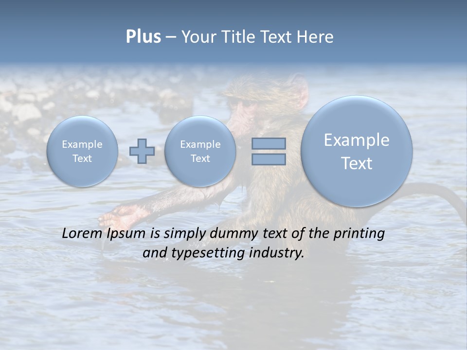 A Monkey Sitting In A Body Of Water PowerPoint Template