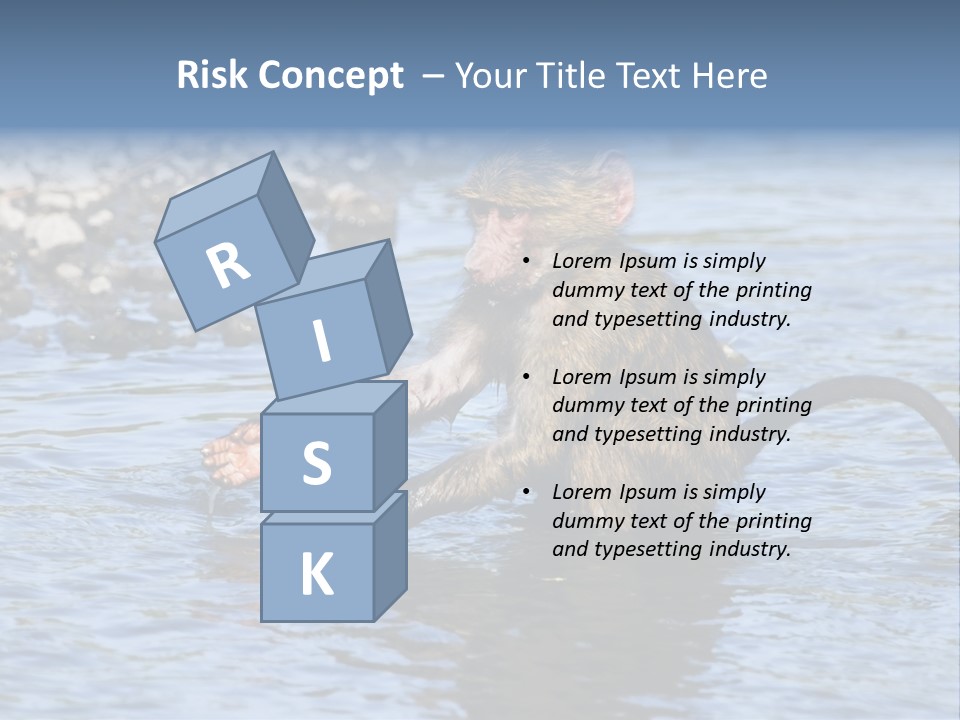 A Monkey Sitting In A Body Of Water PowerPoint Template