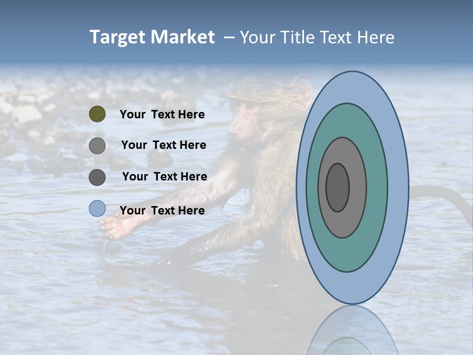 A Monkey Sitting In A Body Of Water PowerPoint Template