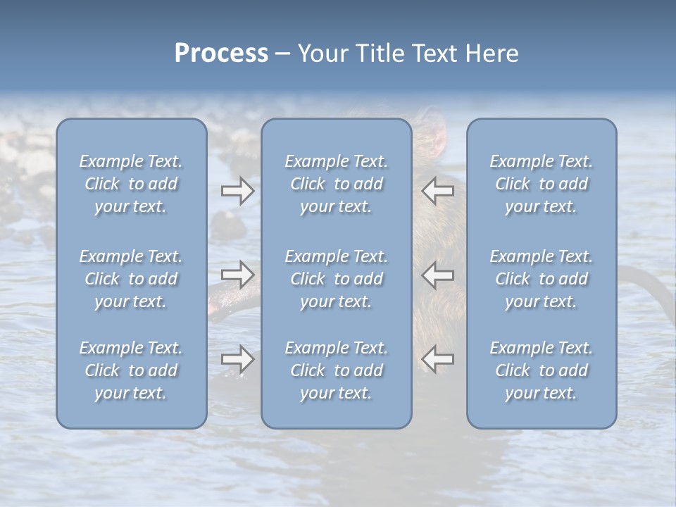 A Monkey Sitting In A Body Of Water PowerPoint Template