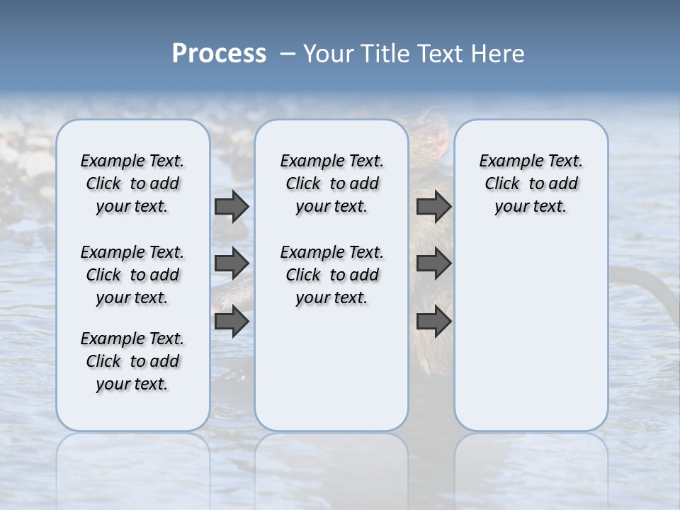 A Monkey Sitting In A Body Of Water PowerPoint Template
