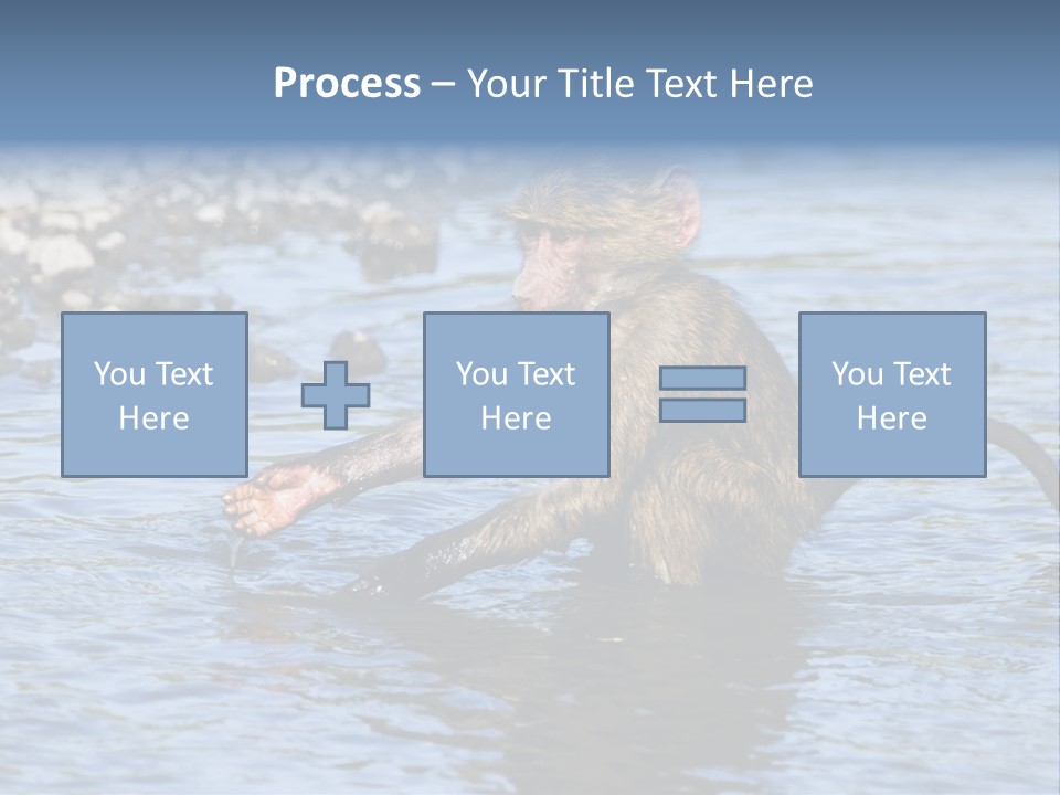 A Monkey Sitting In A Body Of Water PowerPoint Template