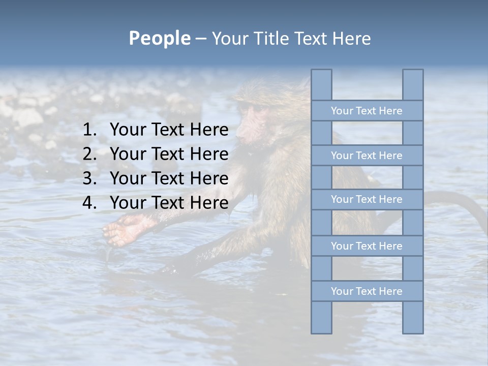 A Monkey Sitting In A Body Of Water PowerPoint Template