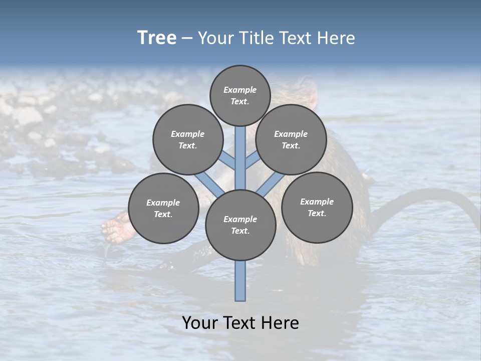 A Monkey Sitting In A Body Of Water PowerPoint Template