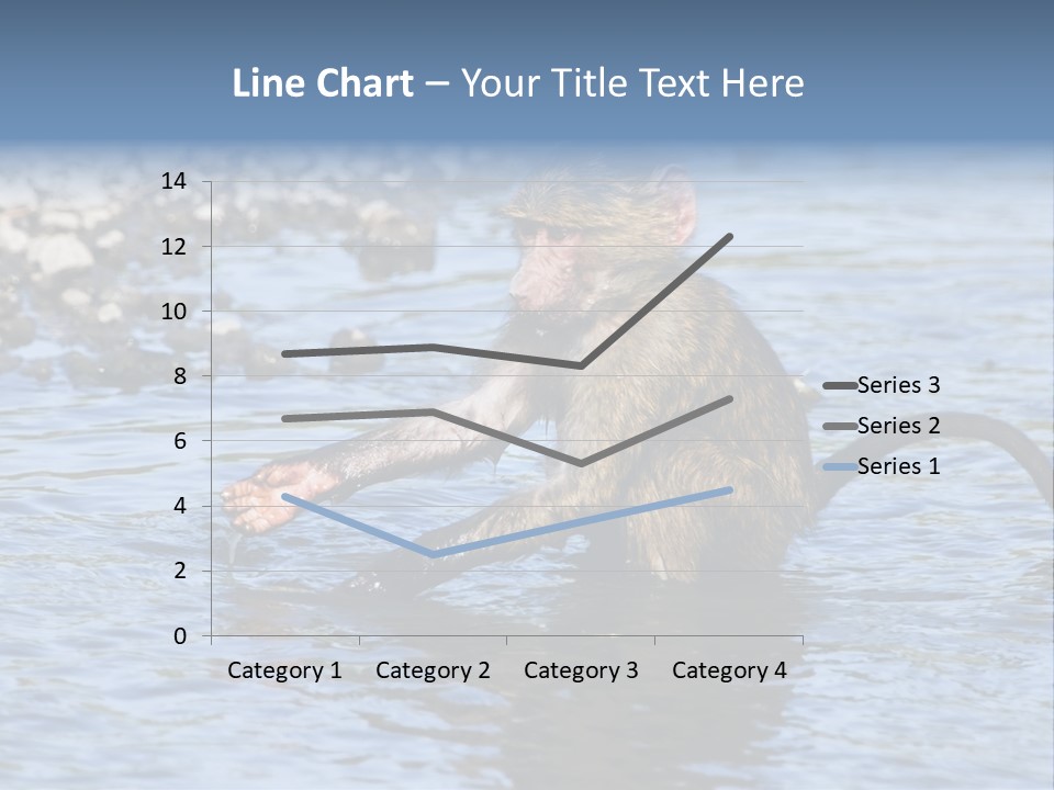 A Monkey Sitting In A Body Of Water PowerPoint Template