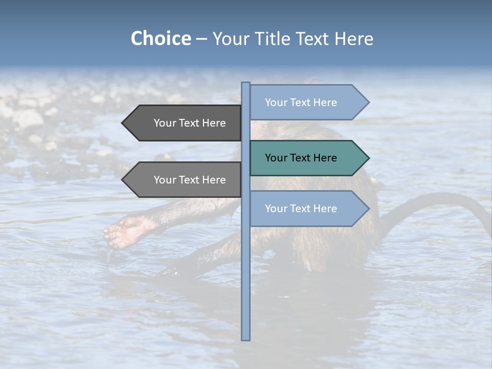 A Monkey Sitting In A Body Of Water PowerPoint Template