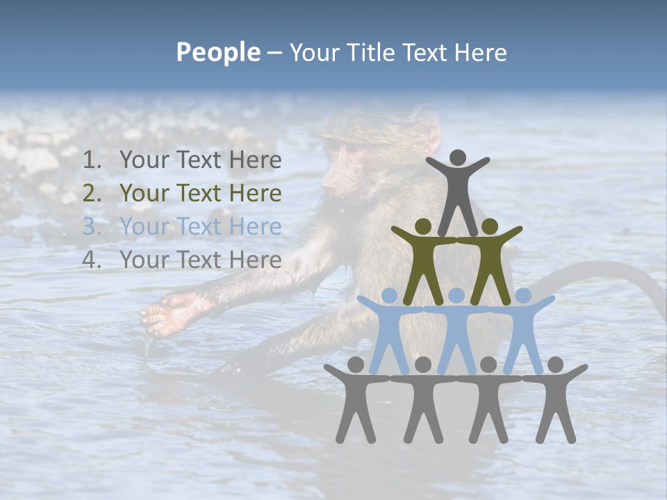 A Monkey Sitting In A Body Of Water PowerPoint Template