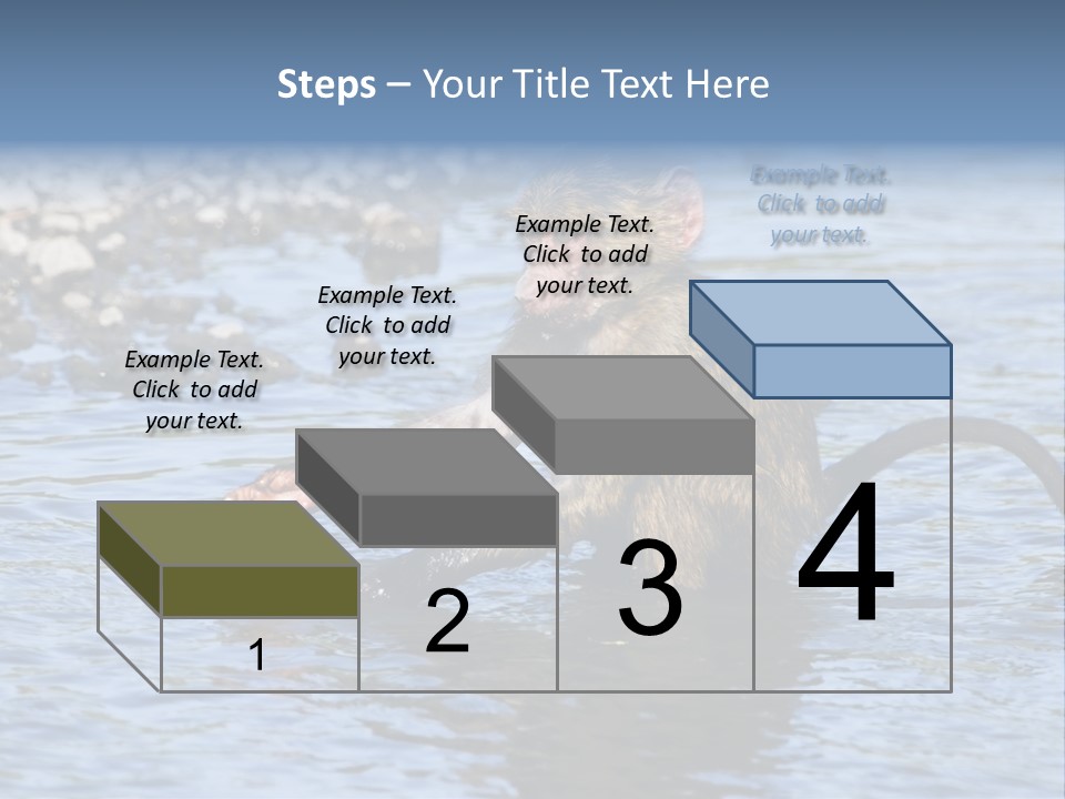 A Monkey Sitting In A Body Of Water PowerPoint Template