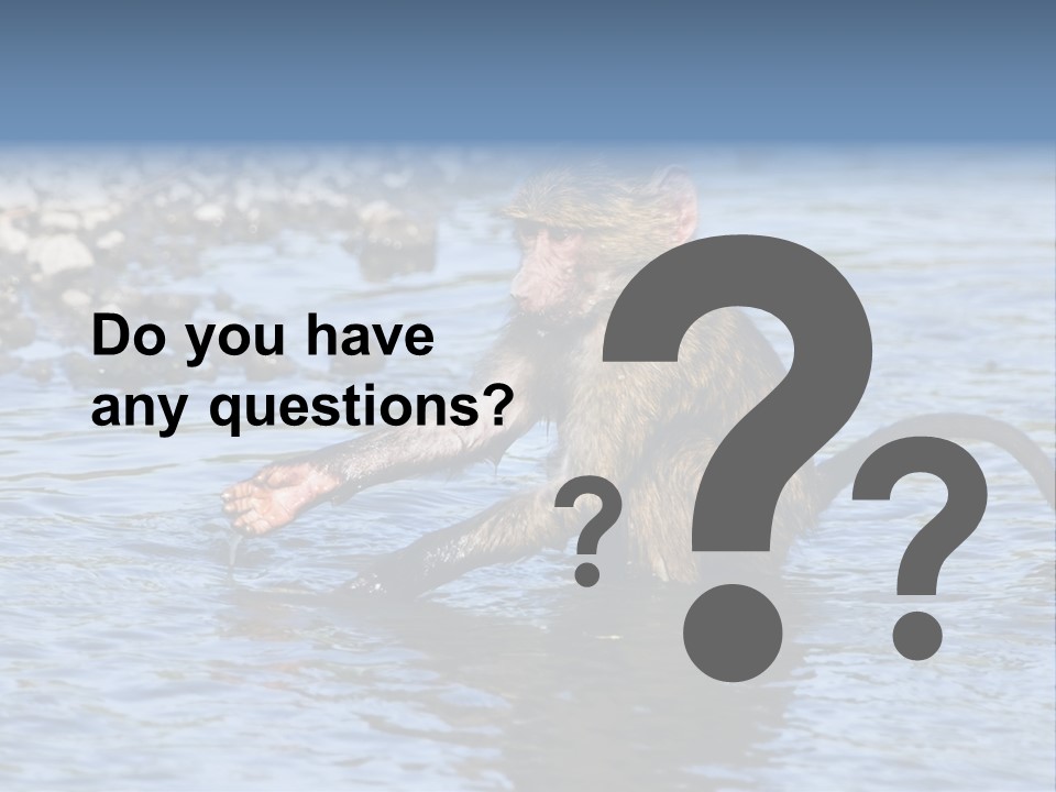 A Monkey Sitting In A Body Of Water PowerPoint Template